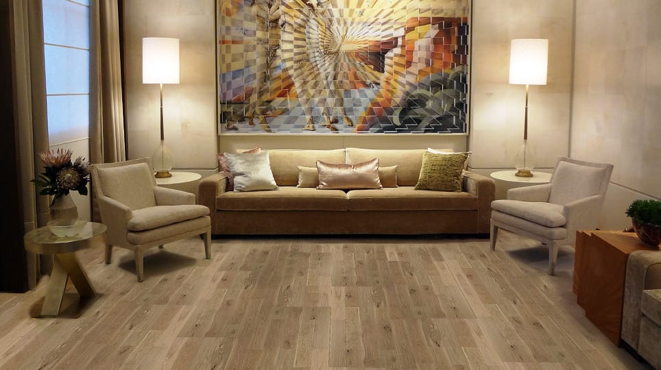 170727 gallery cat 04