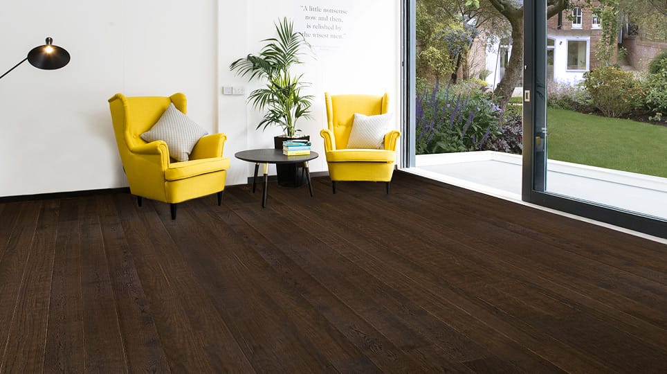 170727 gallery cat 07