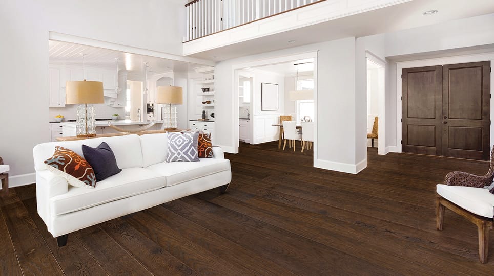 170727 gallery cat 08